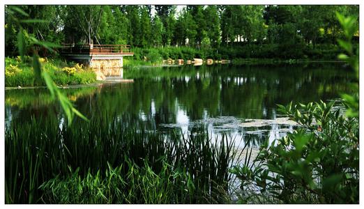 北岛说丨日渐消失的河畔生活，城北给你！