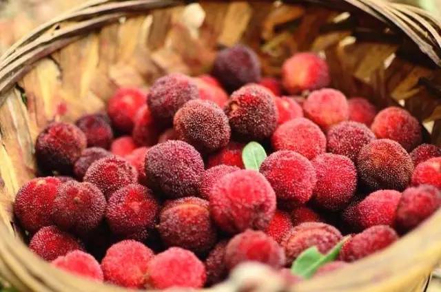 周末，宅在家里不如开始做冰棒吧！想吃什么口味自己选，这个夏天才不算浪费！