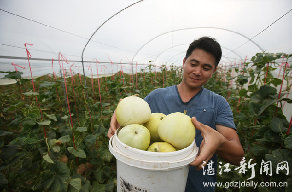 特色企业助力产业扶贫工作,龙头企业带动脱贫户增收效果