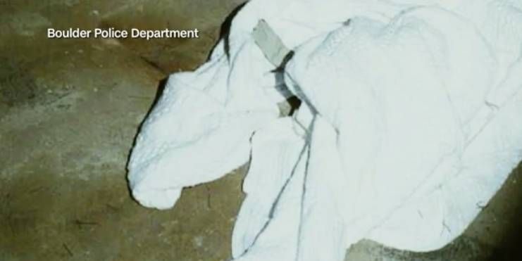 美国童星被杀,美国童星被杀案