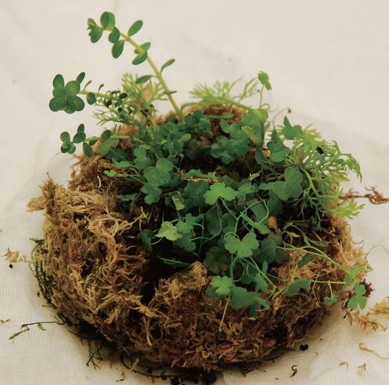 生活小技巧简单桌子做法,做一个懒人必备的桌子