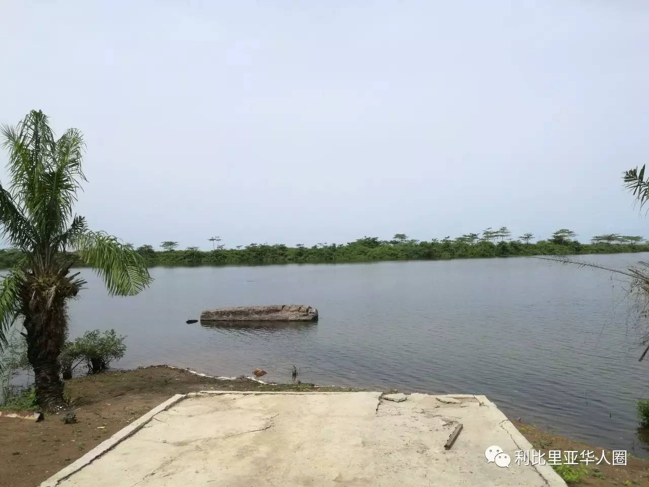 从你的全世界路过小说,格林威尔防暴队营区