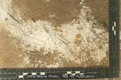 美国童星被杀,美国童星被杀案