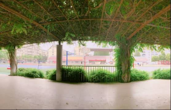 蚌埠三实小,蚌埠三实小是属于高新区么