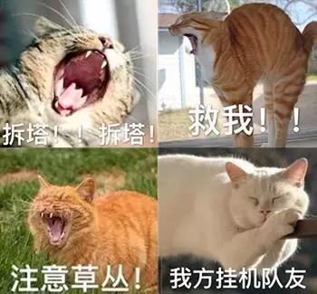 豆瓣9.3，这部18禁动漫神作居然是国产