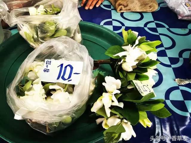 泰国菜市场有什么香料 (泰国菜市场买什么香料)