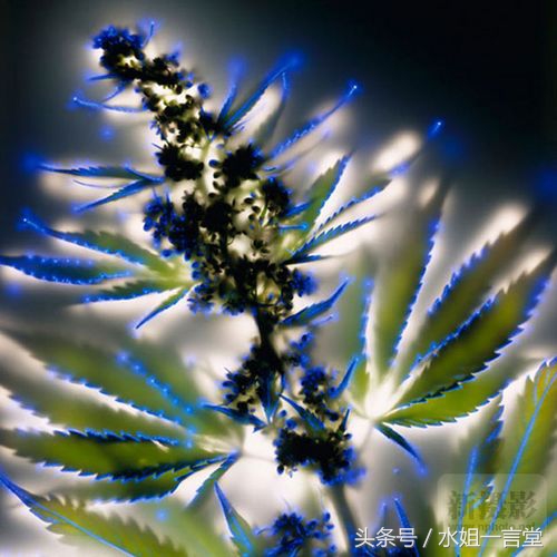 肉眼看到的和相机看到的区别,肉眼看到的和看不到的