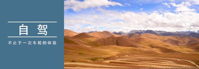 藏族手工编织藏毯,藏式手工编织毯