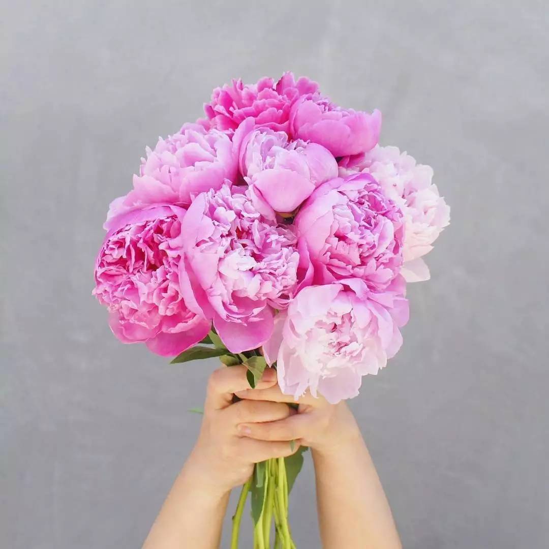 除了康乃馨还可以送母亲什么花,母亲节适合送妈妈的花康乃馨