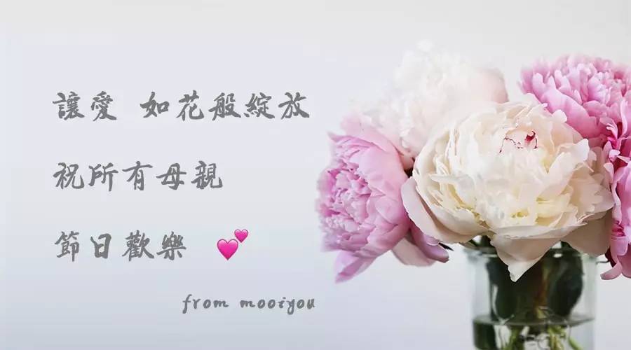 除了康乃馨还可以送母亲什么花,母亲节适合送妈妈的花康乃馨