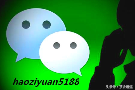 网络创业致富小项目,网络创业项目小程序