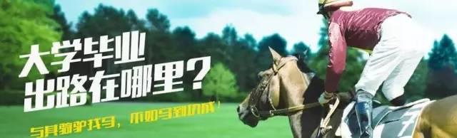 中软卓越it培训班大连,中软卓越培训班