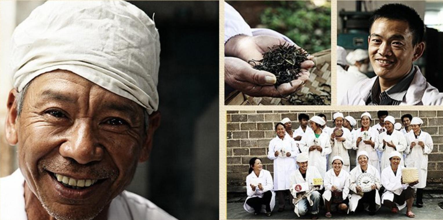 杭州茶博会金奖,2017中国杭州茶博会