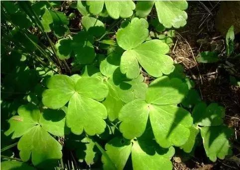 太行山最值得去的地方有哪些,太行山母亲