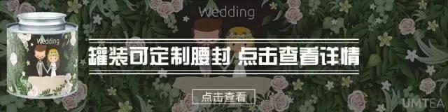 十种最好看的茶包,十种最漂亮的茶包