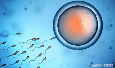 备孕需要注意这8件事,备孕期间怎么做对未来宝宝有影响