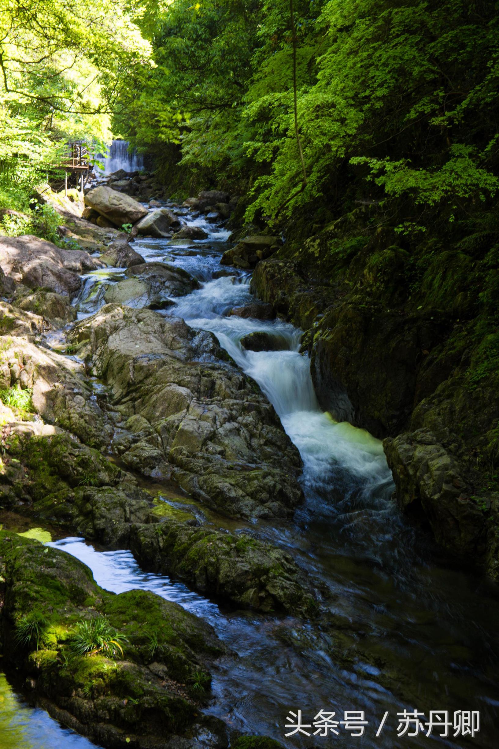 在水下洞穴探险,森林海自由潜水