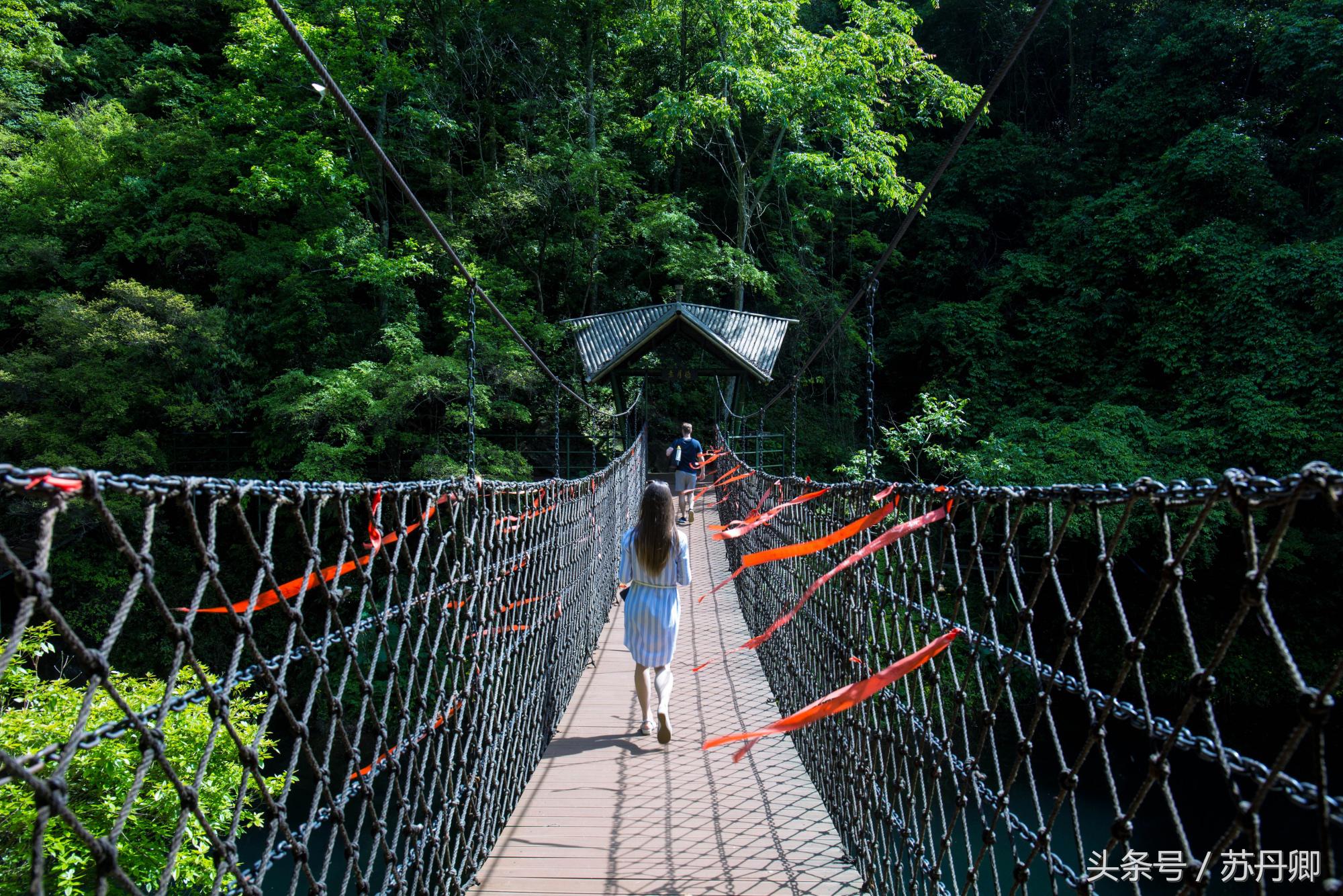 在水下洞穴探险,森林海自由潜水