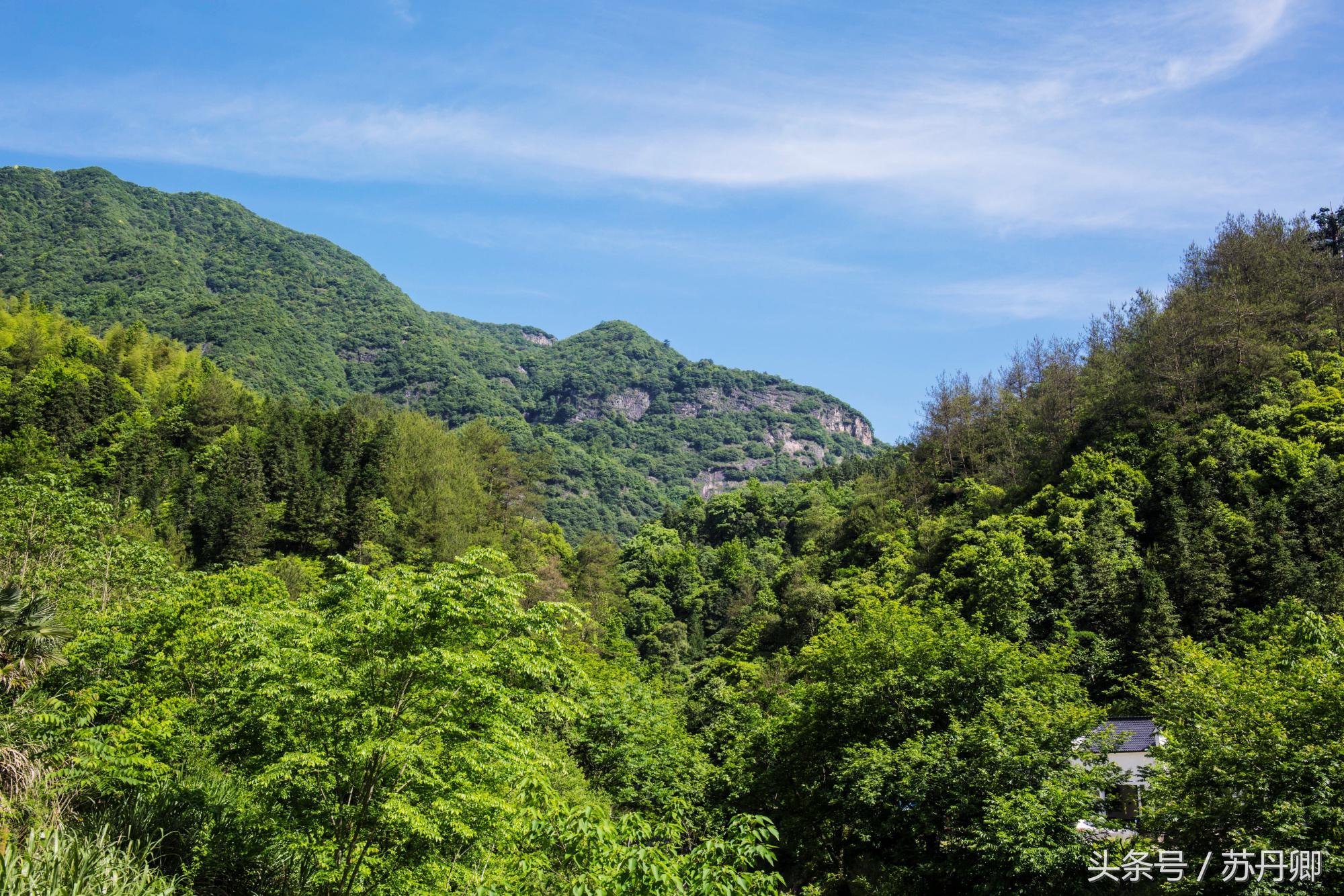 在水下洞穴探险,森林海自由潜水