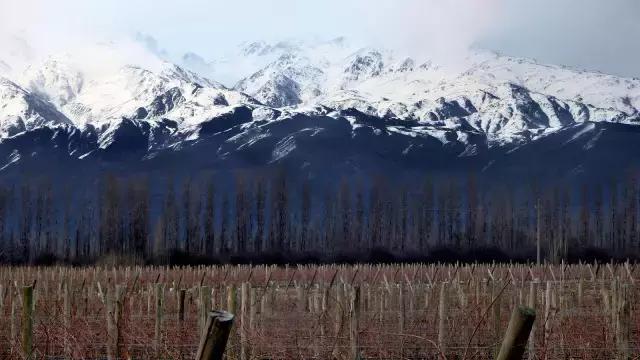 姓马的有什么故事,姓氏马的背后故事