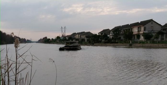 有毛不算秃含义,有毛不算秃怎么回复