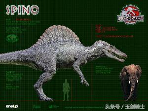 世界上最无畏惧的动物人称平头哥,世界十大凶猛动物平头哥