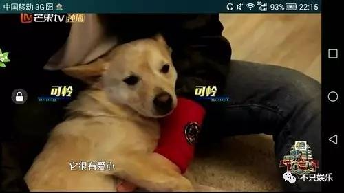 萧敬腾领养狗狗,萧敬腾领养孩子