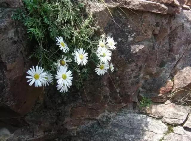 太行山最值得去的地方有哪些,太行山母亲