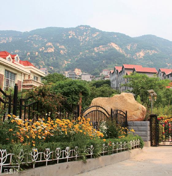 济南特色民宿设计,济南市民宿旅游攻略