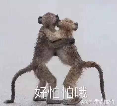 凶宅有诡异现象,凶宅的诡异秘密