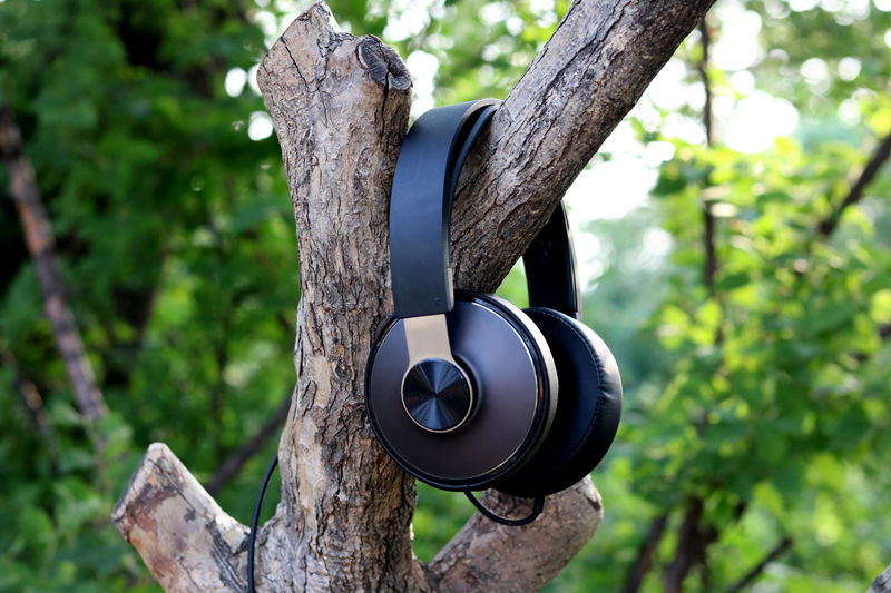 飞利浦shl3565和shp8000对比,飞利浦shp真的很好吗