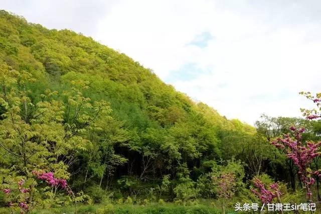 天水市小景点,天水休闲娱乐好去处