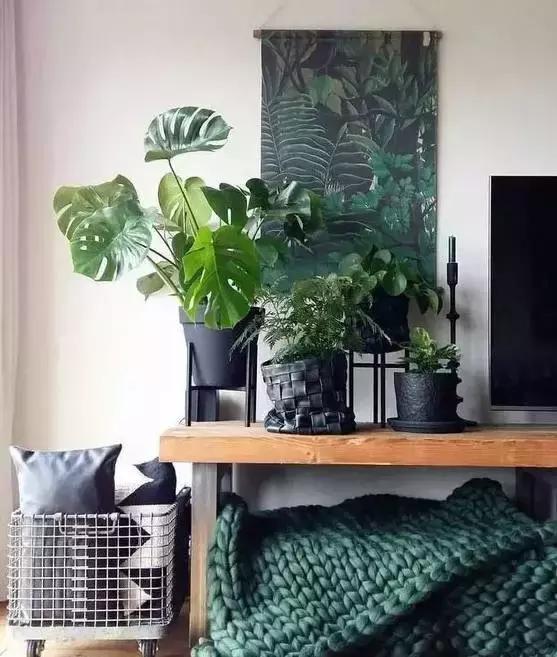 5鏈堜唤鎵︽彃浣曟椂鍙互涓婄泦,澶忓ぉ鎵︽彃鐨勬柟娉曞拰娉ㄦ剰浜嬮」