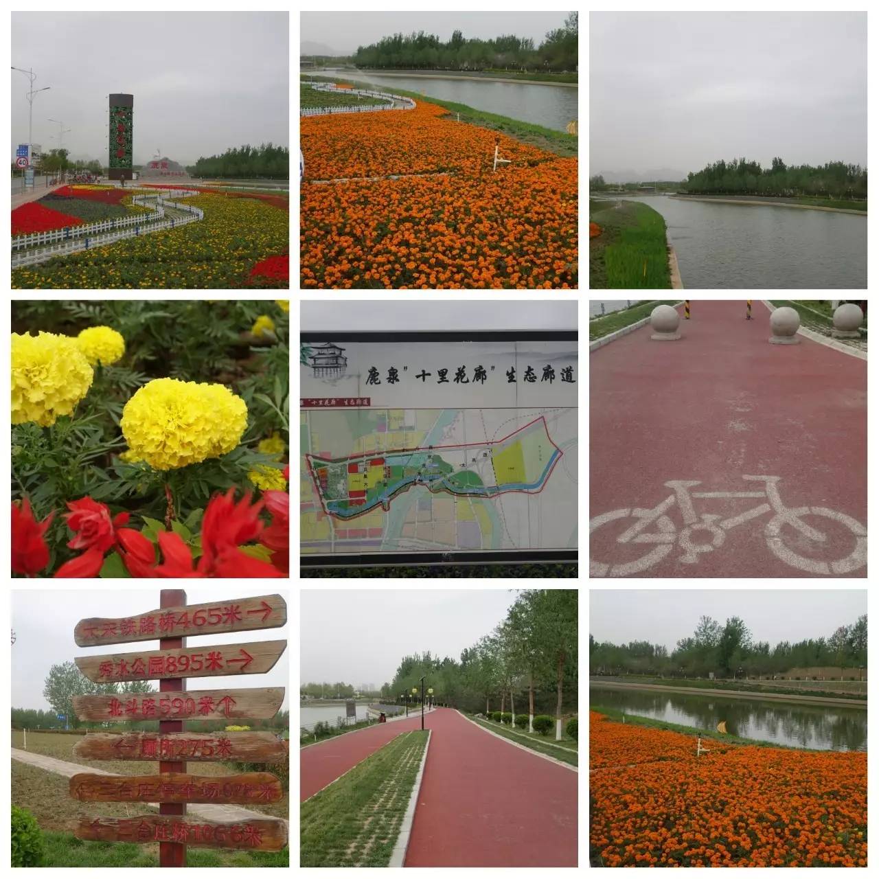 我用30万步，走遍石家庄公园