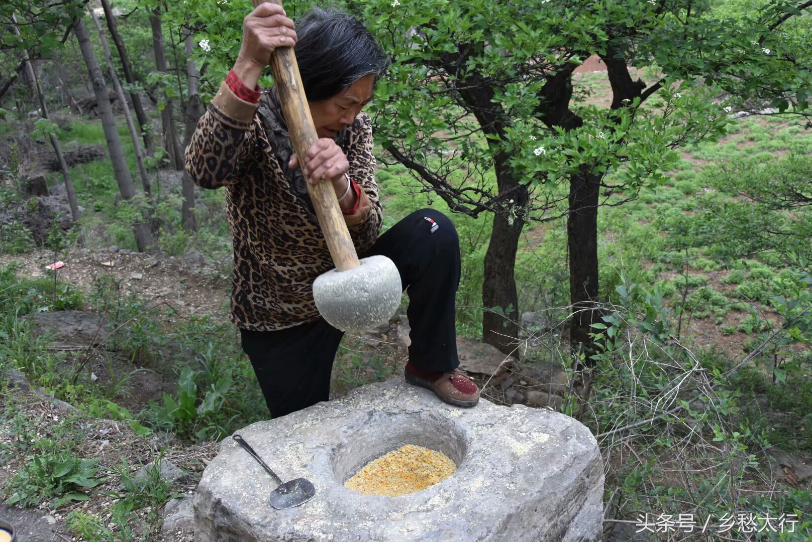 黍米面的做法大全简单又好吃,甘肃黄米面条的家常做法