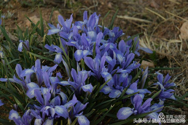 乌兰察布阿贵庙简介,乌兰察布阿贵庙好玩吗