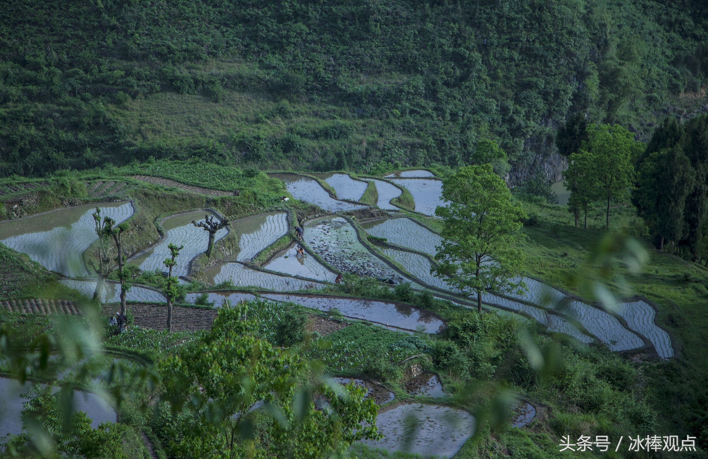 藏在贵州大山深处的惊艳之美,隐藏在贵州大山里的古寨