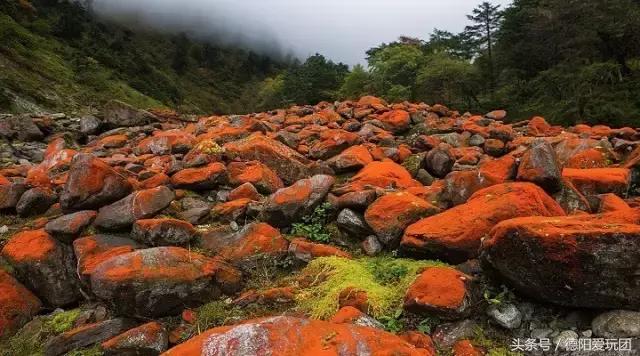 德阳端午周边游一日游,德阳周边游三天攻略
