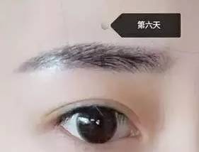 做过眉毛需要咋护理呢,做眉毛眼线的区别