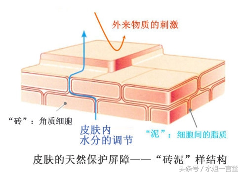 肉眼看到的和相机看到的区别,肉眼看到的和看不到的