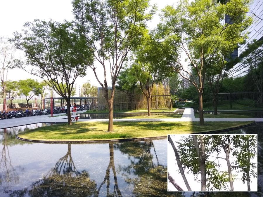 1500块以内的手机玩游戏,酷派酷玩6大米评测