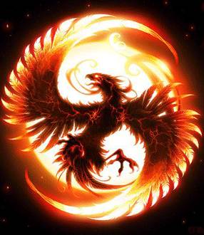 中国古代怪鸟,古代有什么奇特的鸟