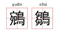 中国古代怪鸟,古代有什么奇特的鸟