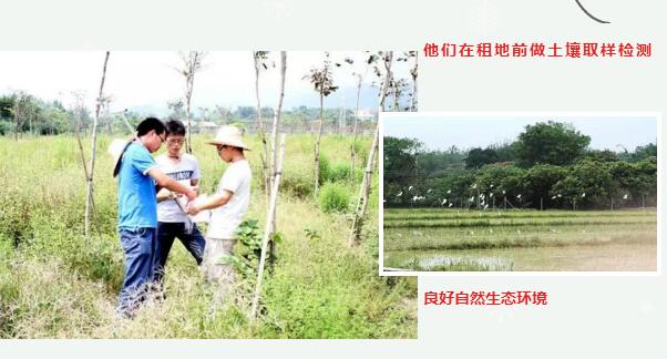 大学毕业种地,大学生毕业种地创业真的不好吗