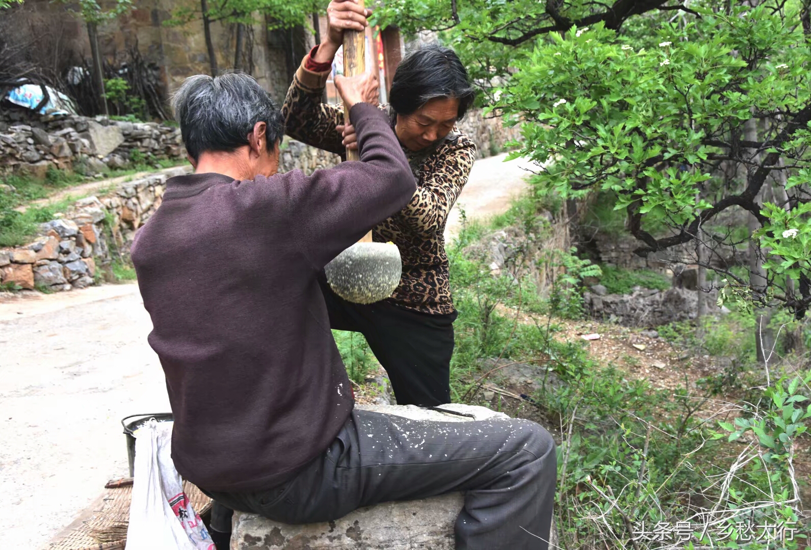 黍米面的做法大全简单又好吃,甘肃黄米面条的家常做法