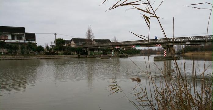 有毛不算秃含义,有毛不算秃怎么回复