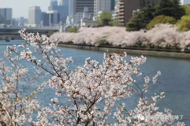 700元一晚住大雄家！揭秘大阪哆啦A梦民宿