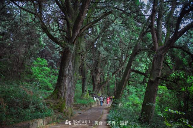 云在青天水在瓶深度讲解,云在青天水在瓶全文