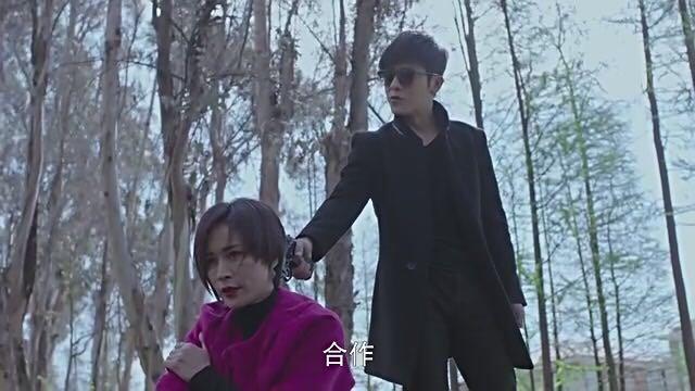 卧底归来秦越和高达之死,卧底归来秦越和高达之死多少集