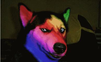 白癜风每月打一针预防扩散管用吗,白癜风患者孕期如何预防扩散